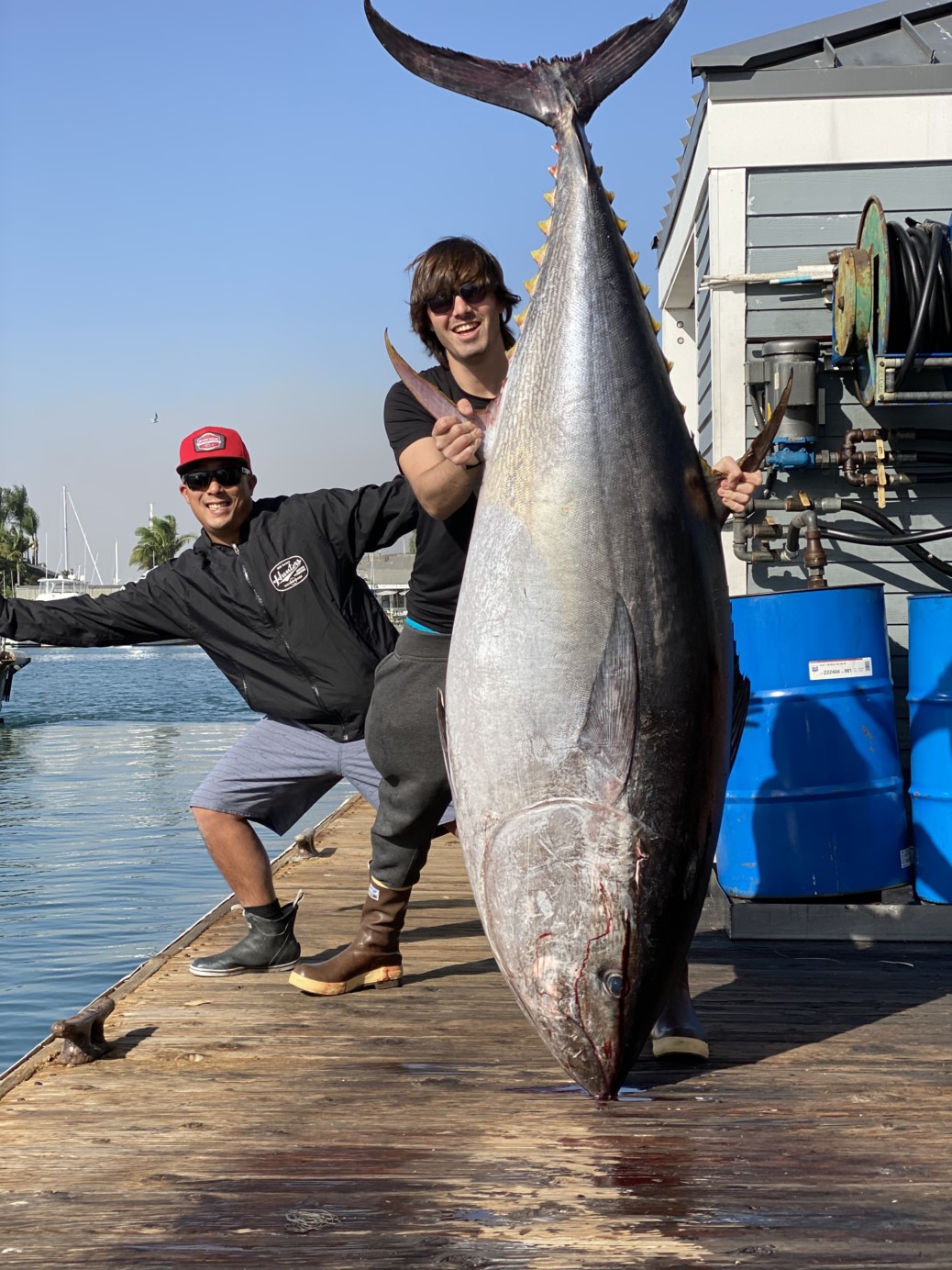Angler reels in rare 364-pound 'super cow' bluefin tuna in