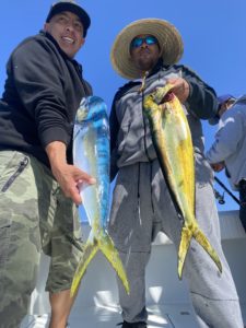 Local Dorado! A little change of pace