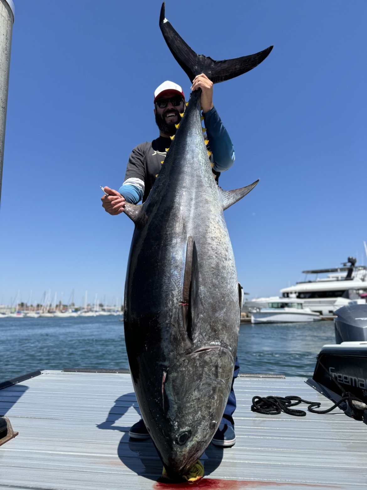 Another big cow !!! 238 pounds. - Billykfishing Catch More Fish